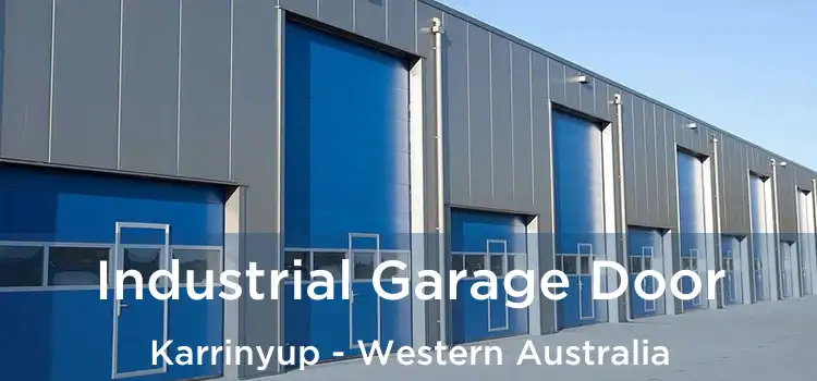 Industrial Garage Door Karrinyup - Western Australia