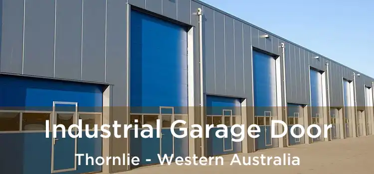Industrial Garage Door Thornlie - Western Australia