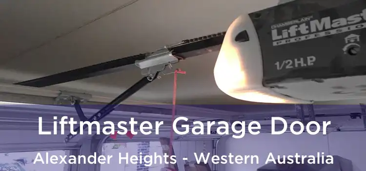 Liftmaster Garage Door Alexander Heights - Western Australia