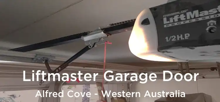 Liftmaster Garage Door Alfred Cove - Western Australia
