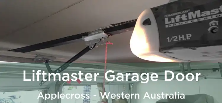 Liftmaster Garage Door Applecross - Western Australia