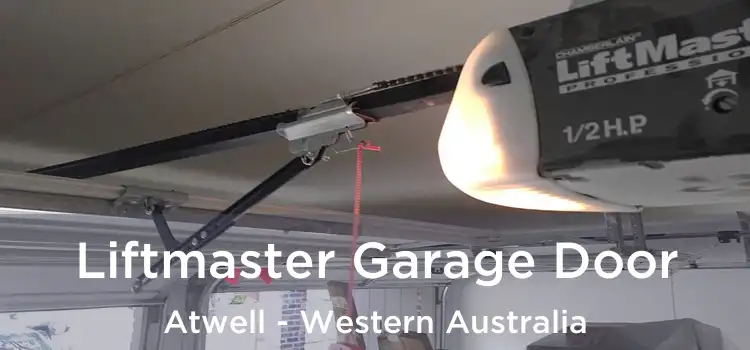 Liftmaster Garage Door Atwell - Western Australia