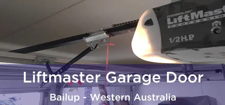 Liftmaster Garage Door Bailup - Western Australia