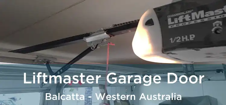 Liftmaster Garage Door Balcatta - Western Australia