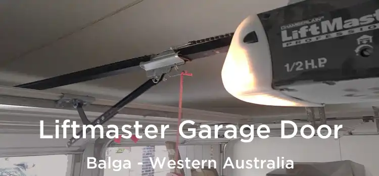 Liftmaster Garage Door Balga - Western Australia