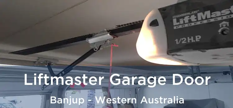 Liftmaster Garage Door Banjup - Western Australia