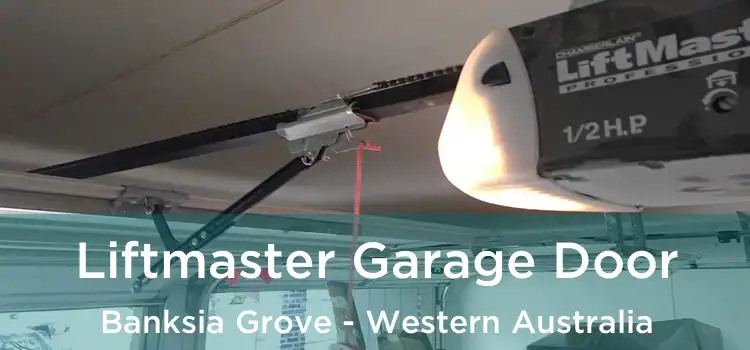 Liftmaster Garage Door Banksia Grove - Western Australia