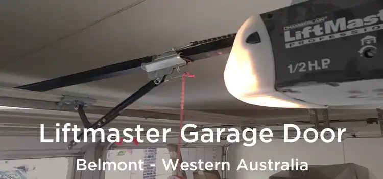 Liftmaster Garage Door Belmont - Western Australia