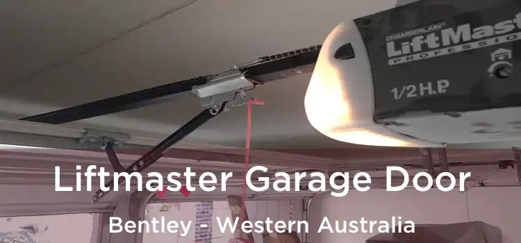 Liftmaster Garage Door Bentley - Western Australia