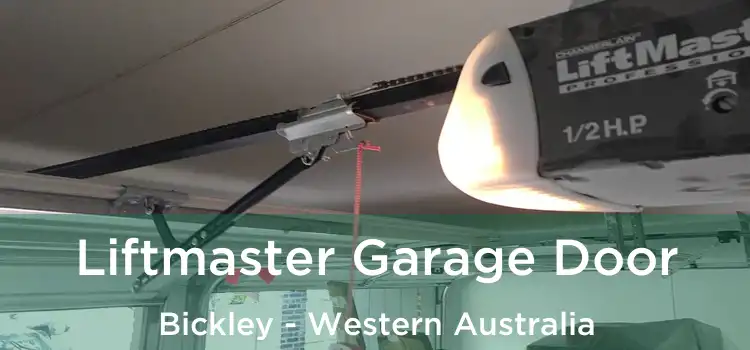 Liftmaster Garage Door Bickley - Western Australia