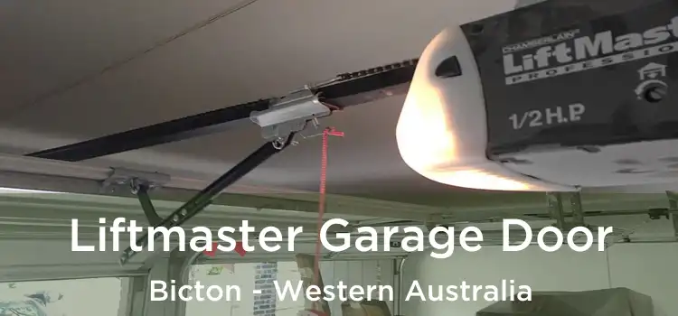Liftmaster Garage Door Bicton - Western Australia