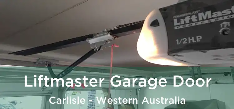 Liftmaster Garage Door Carlisle - Western Australia