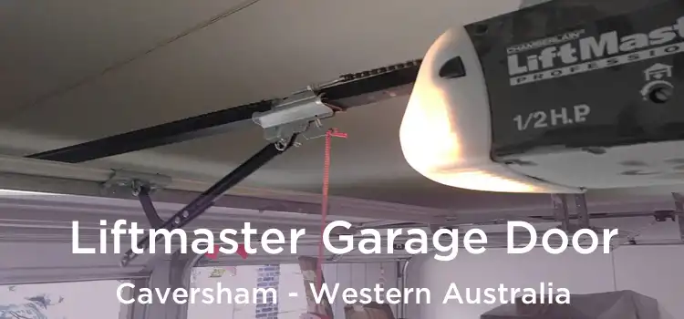 Liftmaster Garage Door Caversham - Western Australia