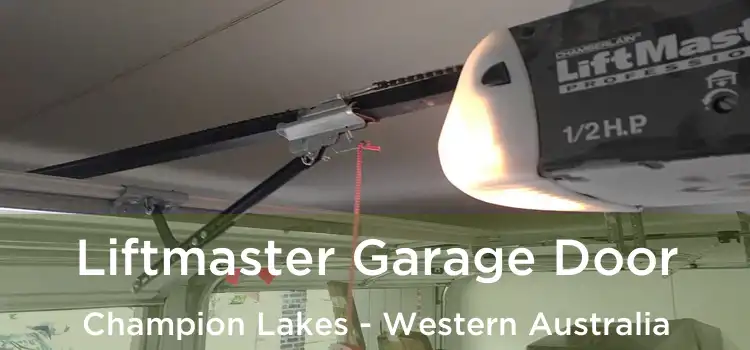 Liftmaster Garage Door Champion Lakes - Western Australia