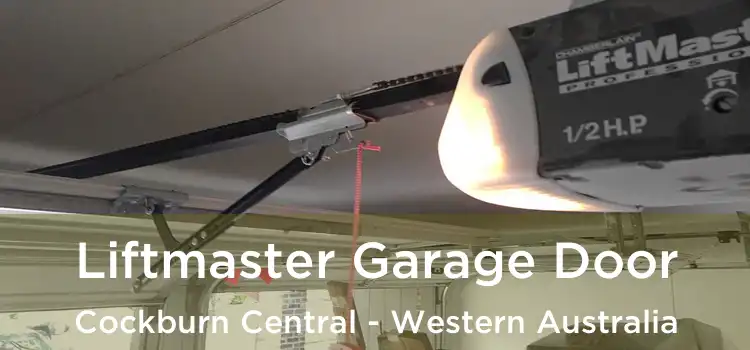 Liftmaster Garage Door Cockburn Central - Western Australia