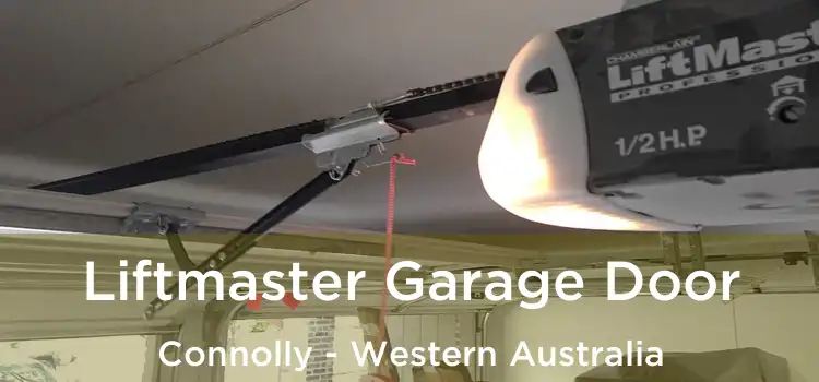 Liftmaster Garage Door Connolly - Western Australia