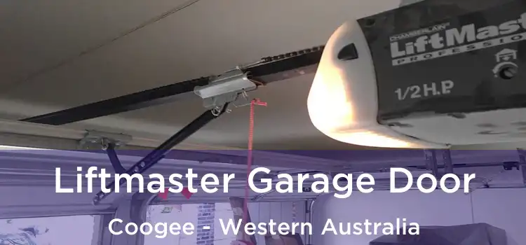Liftmaster Garage Door Coogee - Western Australia