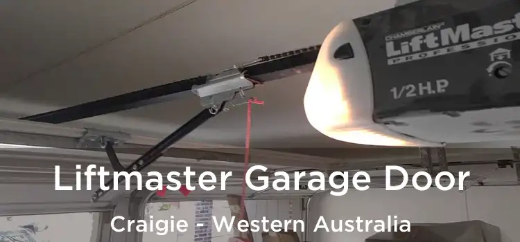 Liftmaster Garage Door Craigie - Western Australia