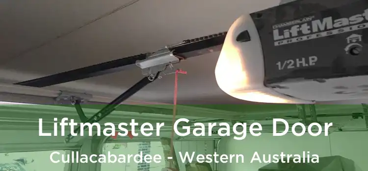 Liftmaster Garage Door Cullacabardee - Western Australia