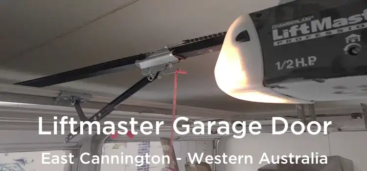 Liftmaster Garage Door East Cannington - Western Australia