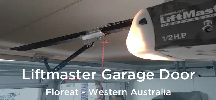 Liftmaster Garage Door Floreat - Western Australia