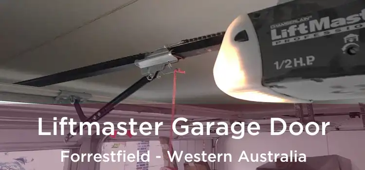 Liftmaster Garage Door Forrestfield - Western Australia