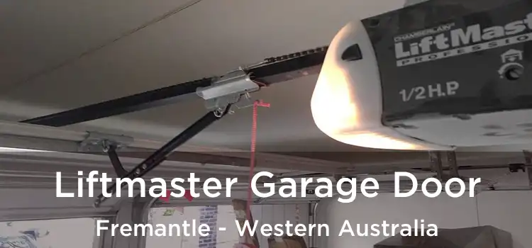 Liftmaster Garage Door Fremantle - Western Australia