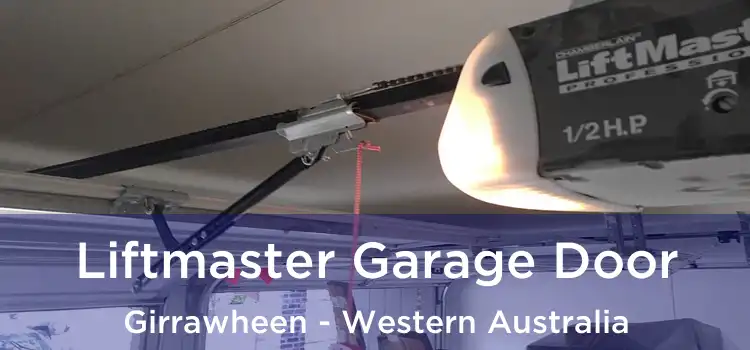 Liftmaster Garage Door Girrawheen - Western Australia