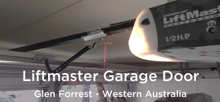 Liftmaster Garage Door Glen Forrest - Western Australia