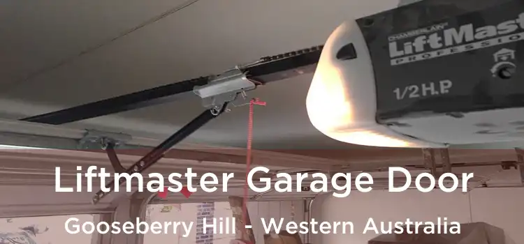 Liftmaster Garage Door Gooseberry Hill - Western Australia