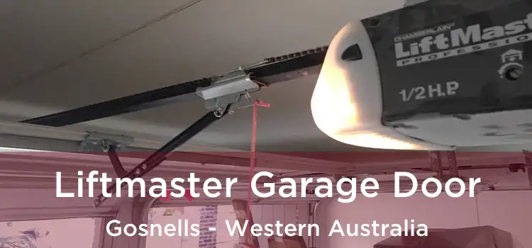 Liftmaster Garage Door Gosnells - Western Australia