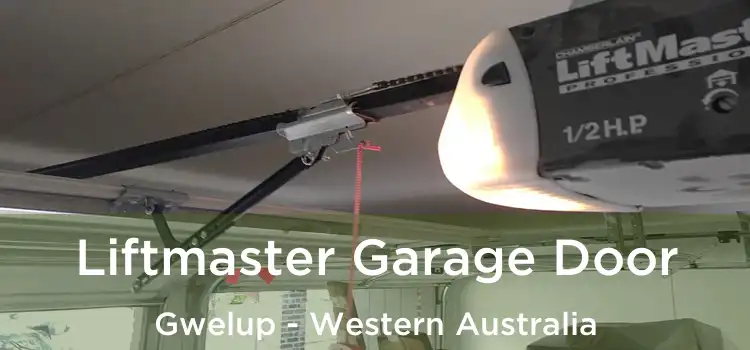 Liftmaster Garage Door Gwelup - Western Australia