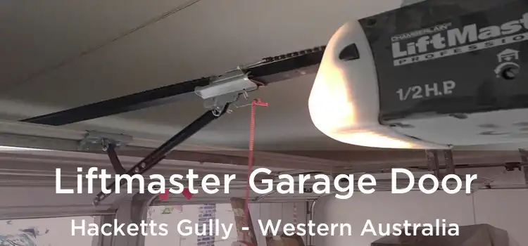 Liftmaster Garage Door Hacketts Gully - Western Australia
