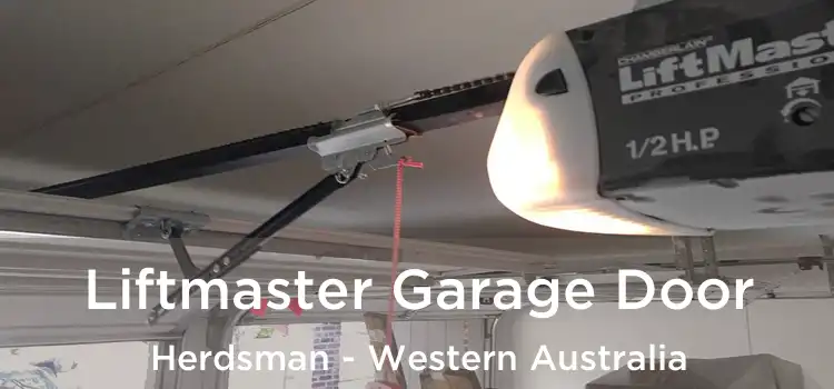 Liftmaster Garage Door Herdsman - Western Australia