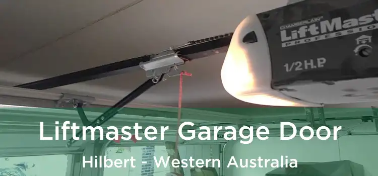 Liftmaster Garage Door Hilbert - Western Australia