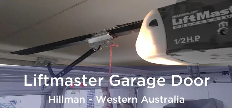 Liftmaster Garage Door Hillman - Western Australia
