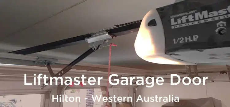 Liftmaster Garage Door Hilton - Western Australia