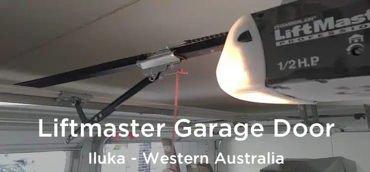 Liftmaster Garage Door Iluka - Western Australia