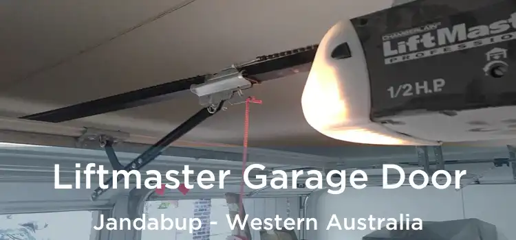 Liftmaster Garage Door Jandabup - Western Australia