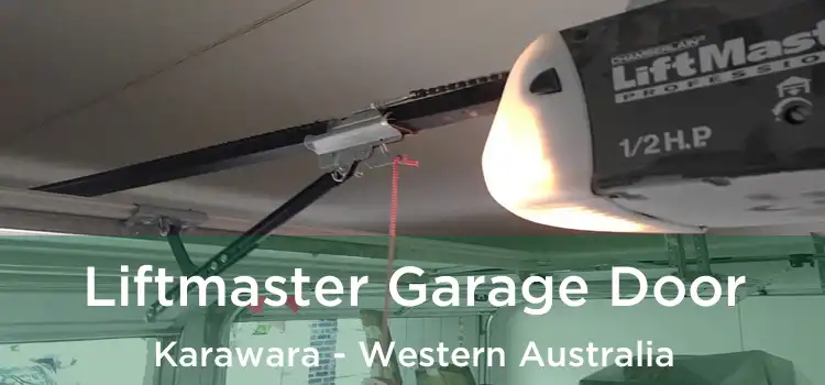 Liftmaster Garage Door Karawara - Western Australia
