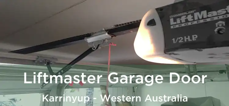 Liftmaster Garage Door Karrinyup - Western Australia