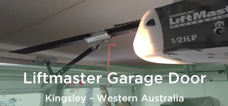 Liftmaster Garage Door Kingsley - Western Australia