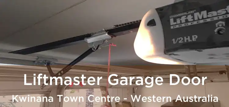 Liftmaster Garage Door Kwinana Town Centre - Western Australia