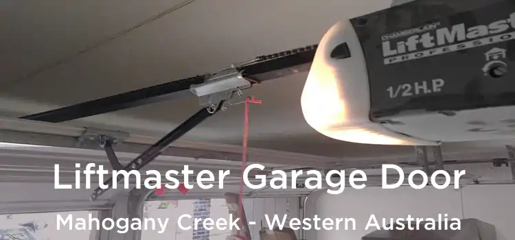 Liftmaster Garage Door Mahogany Creek - Western Australia