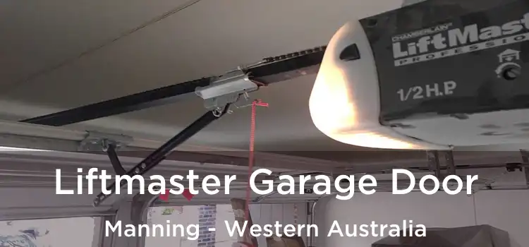 Liftmaster Garage Door Manning - Western Australia