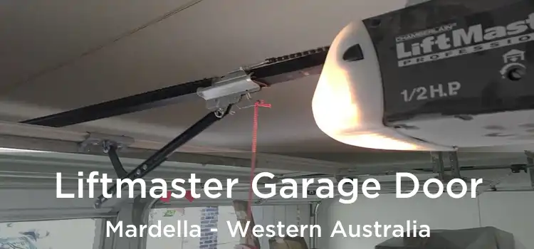 Liftmaster Garage Door Mardella - Western Australia