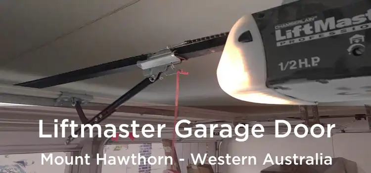Liftmaster Garage Door Mount Hawthorn - Western Australia