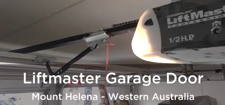 Liftmaster Garage Door Mount Helena - Western Australia