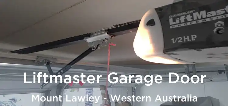 Liftmaster Garage Door Mount Lawley - Western Australia