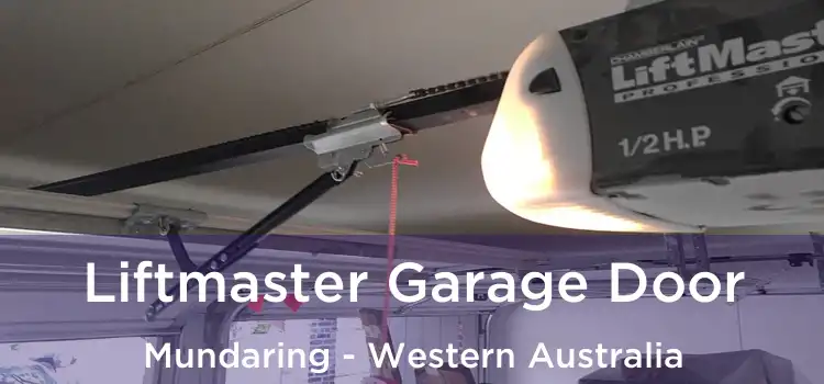 Liftmaster Garage Door Mundaring - Western Australia